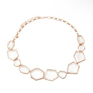 Zara Transparent Resin Belt